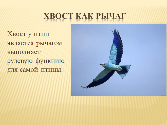 Решение рисунок 5
