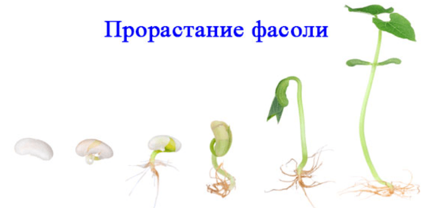 Решение рисунок 2