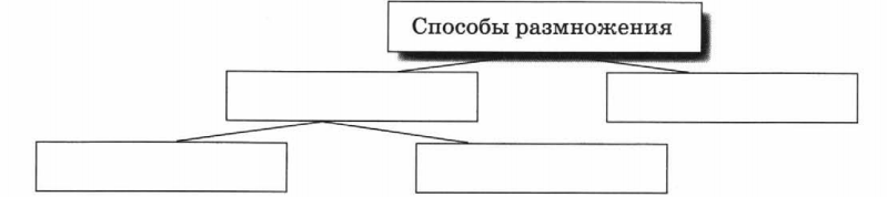 Задание рисунок 1