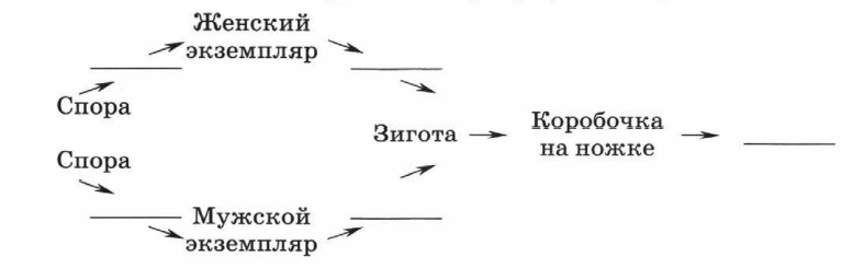 Задание рисунок 1