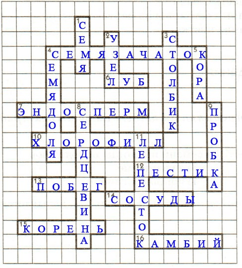 Решение рисунок 1