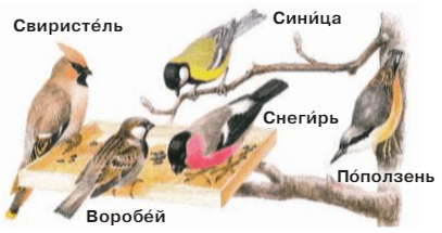 Задание рисунок 1