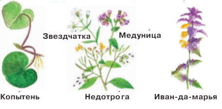 Задание рисунок 1