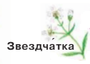 Решение рисунок 2