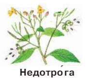 Решение рисунок 5
