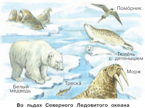 Задание рисунок 1