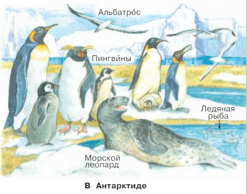 Задание рисунок 2