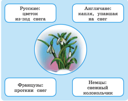 Задание рисунок 1