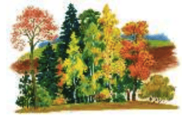Задание рисунок 1