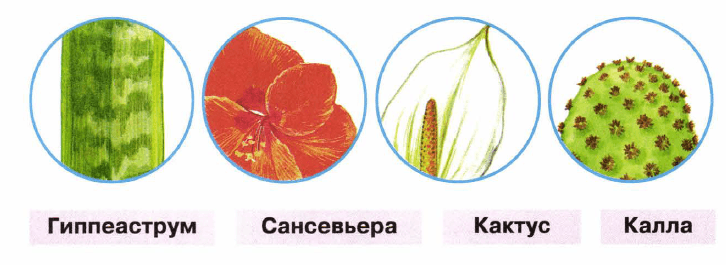 Задание рисунок 1