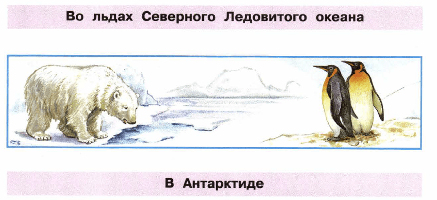 Задание рисунок 1