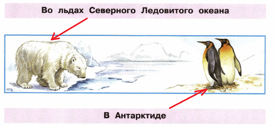 Решение рисунок 1