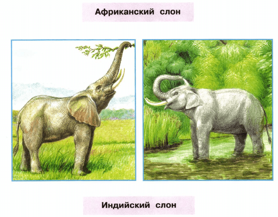 Задание рисунок 1