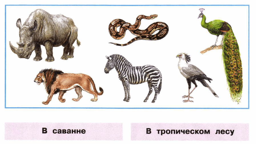 Задание рисунок 1