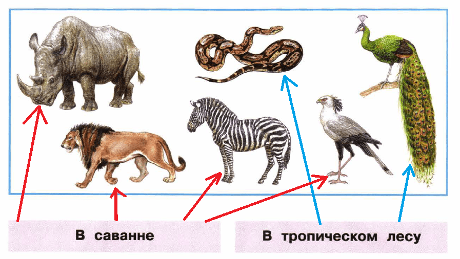 Решение рисунок 1