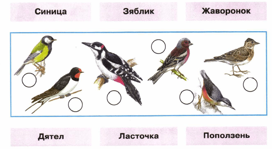 Задание рисунок 1