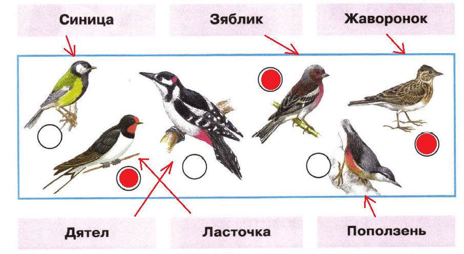 Решение рисунок 1
