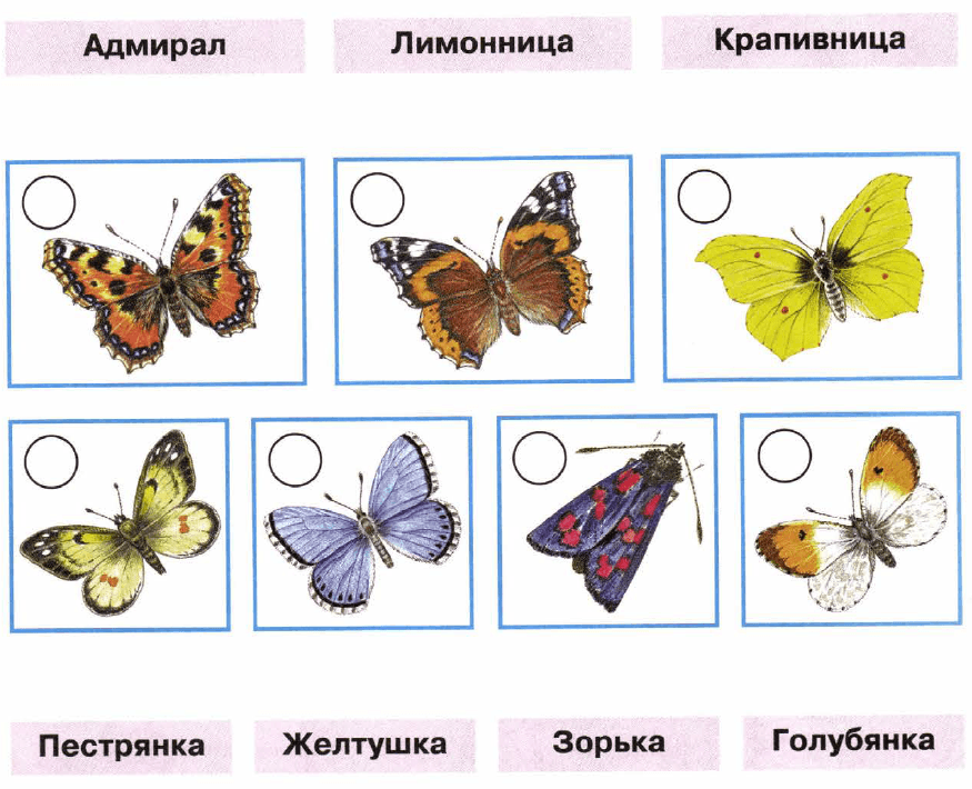 Задание рисунок 1
