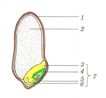 Решение рисунок 6