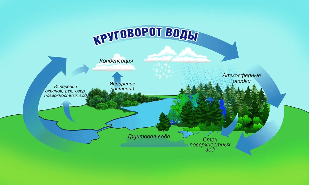 Решение рисунок 1