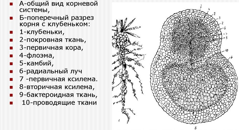 Решение рисунок 5