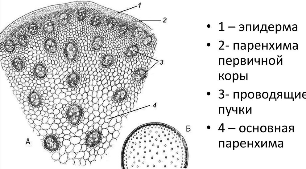 Решение рисунок 2
