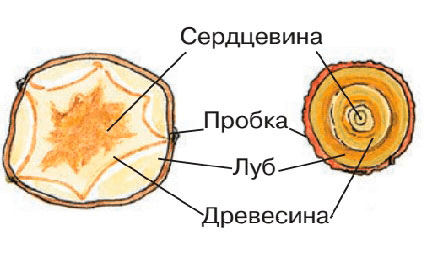 Решение рисунок 3