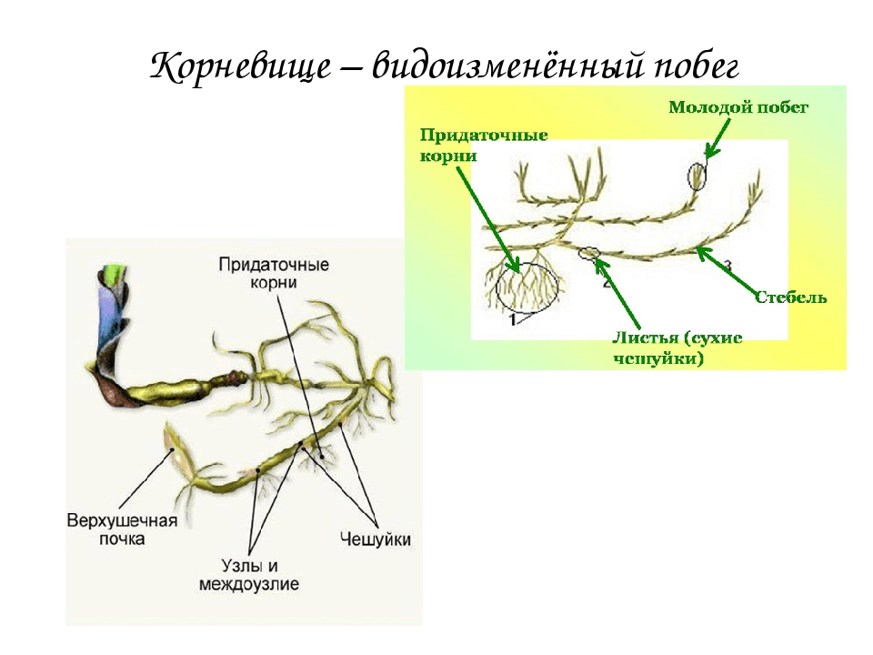 Решение рисунок 2