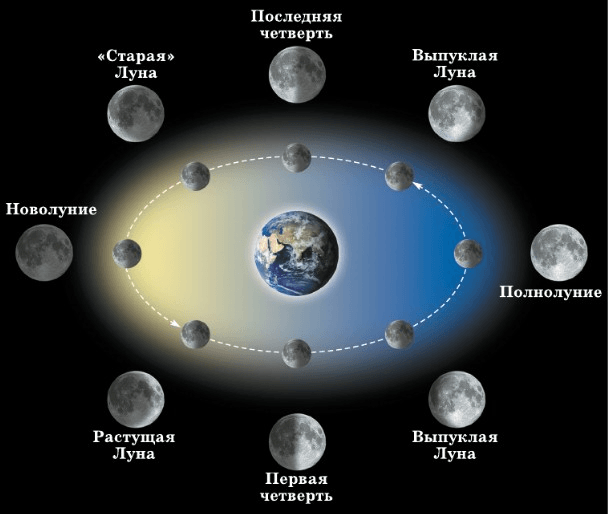 3 четверть луны