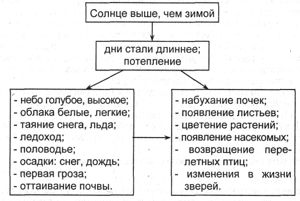 Решение рисунок 1