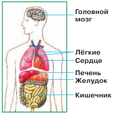 Решение рисунок 1