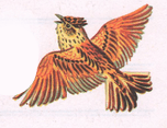 Задание рисунок 1
