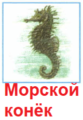 Решение рисунок 2