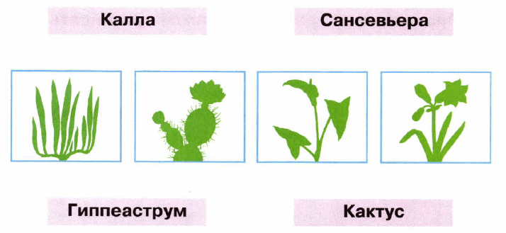 Задание рисунок 1