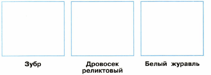 Задание рисунок 1