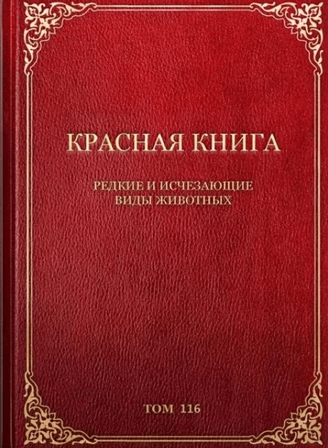 Страница 98, 99 - ГДЗ Окружающий мир 2 класс. Плешаков. Учебник часть 1