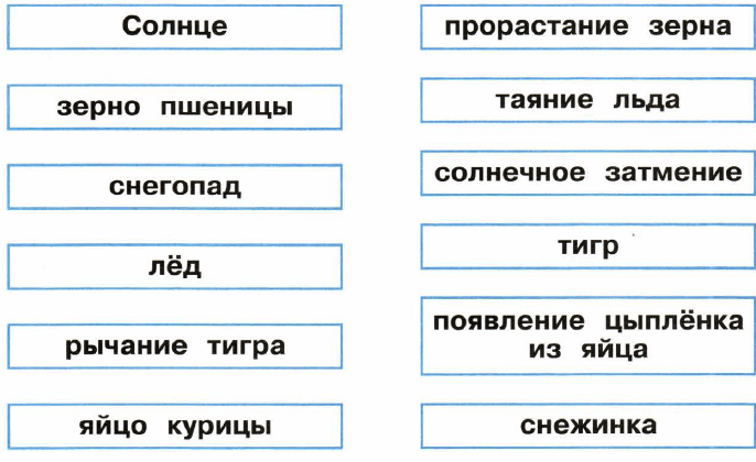 Задание рисунок 1