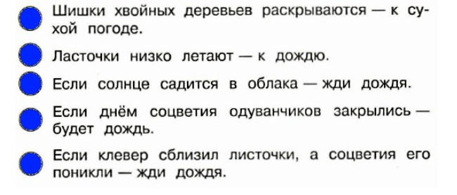Шишки хвойных деревьев раскрываются