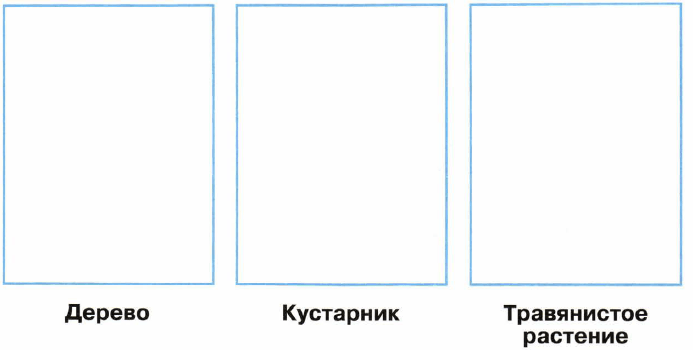 Задание рисунок 1