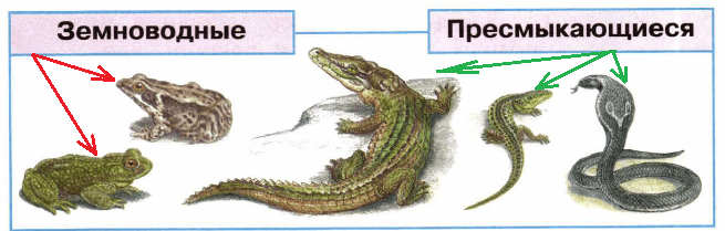 Решение рисунок 1