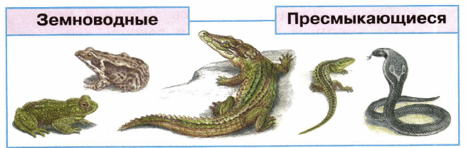 Задание рисунок 1