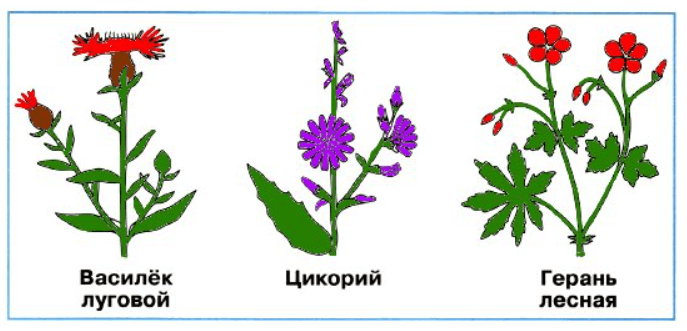 Решение рисунок 1