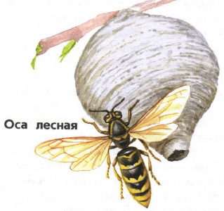 Решение рисунок 2