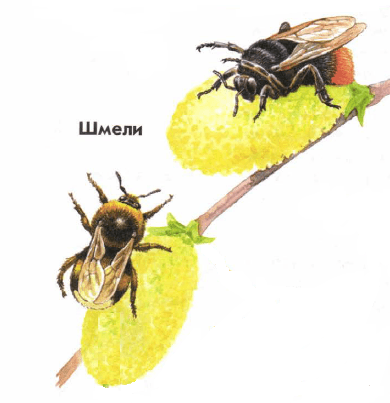 Решение рисунок 3
