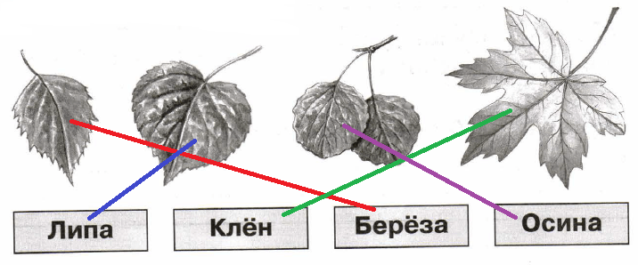 Решение рисунок 1