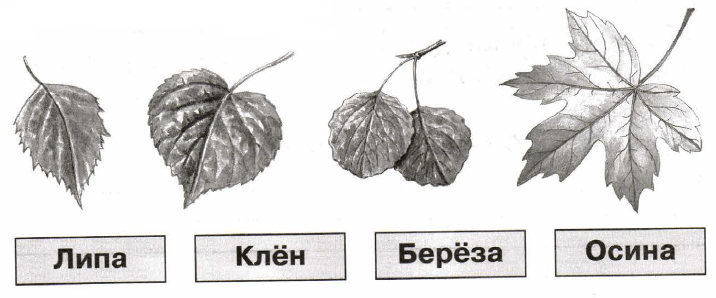 Задание рисунок 1