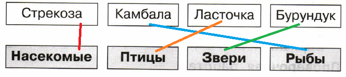 Решение рисунок 1