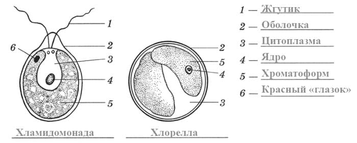 Решение рисунок 1