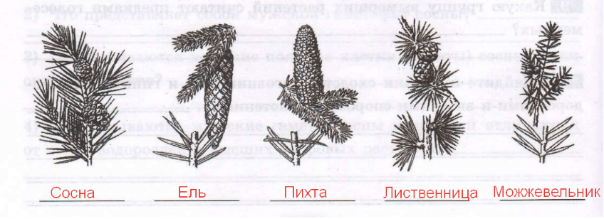 Решение рисунок 1