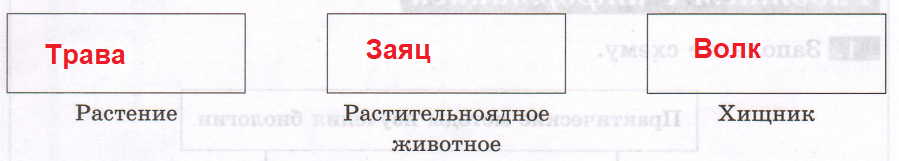 Решение рисунок 1